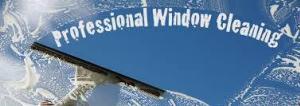 Professional Window Cleaning