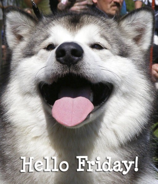 Friday Friday