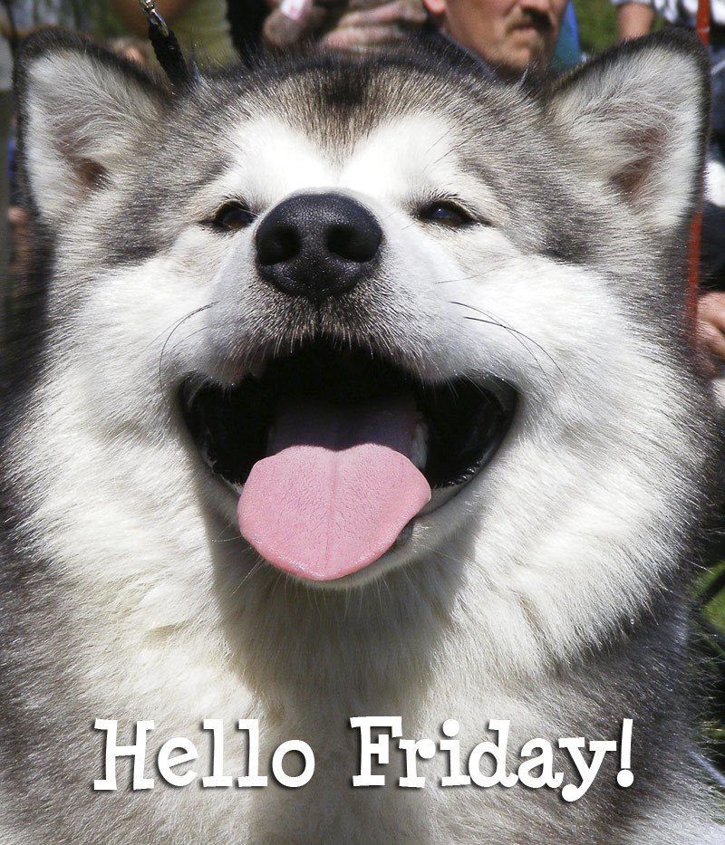 Friday
