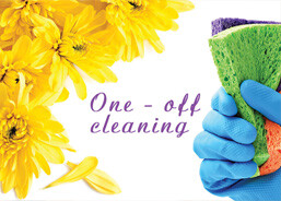 One Off Cleaning
