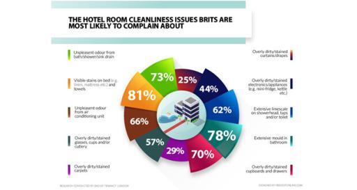 Hotel Cleanliness Pie Chart