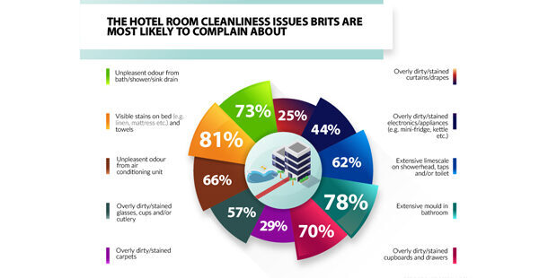 Hotel Cleanliness Pie Chart Hotel Cleanliness Pie Chart